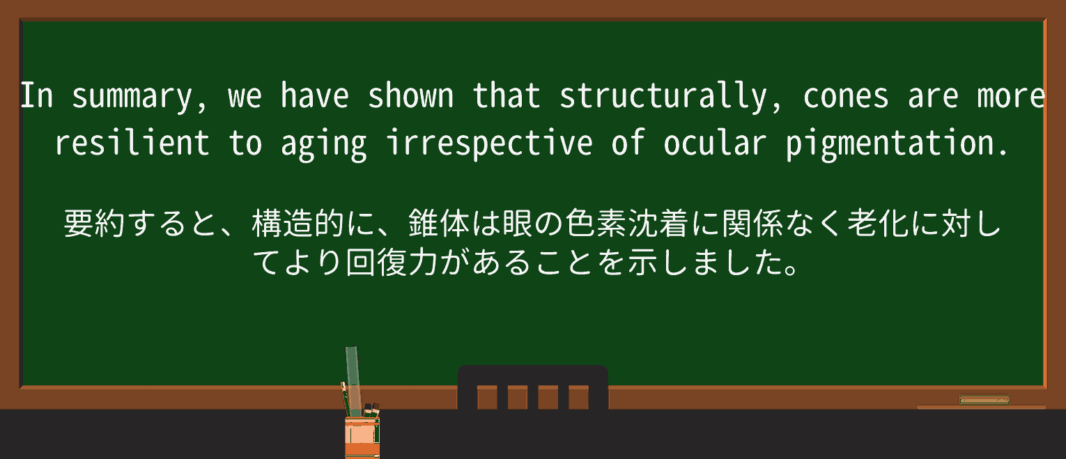 【英単語】ocularを徹底解説!意味、使い方、例文、読み方 ・例文3