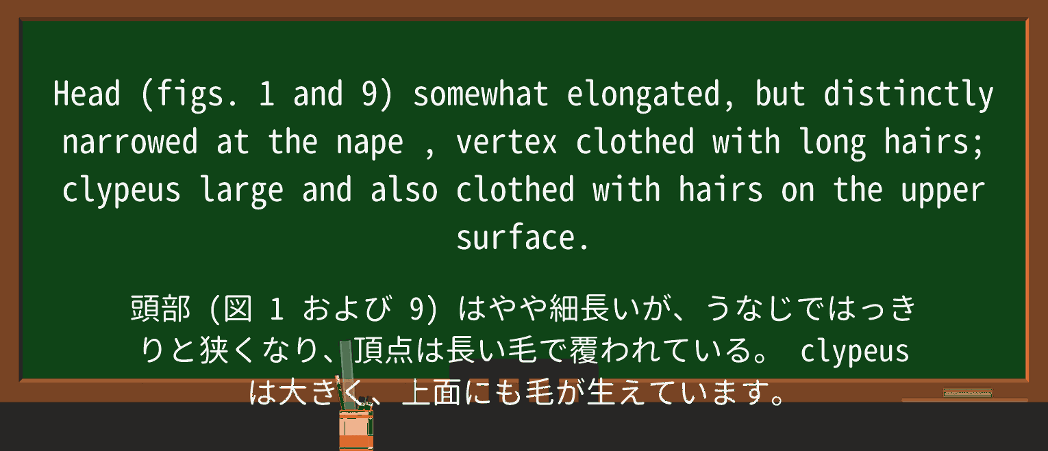 【英単語】napeを徹底解説!意味、使い方、例文、読み方 ・例文3