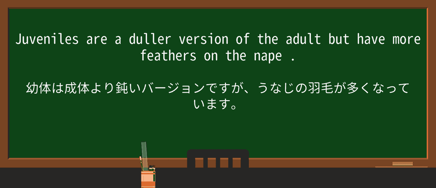 【英単語】napeを徹底解説!意味、使い方、例文、読み方 ・例文4