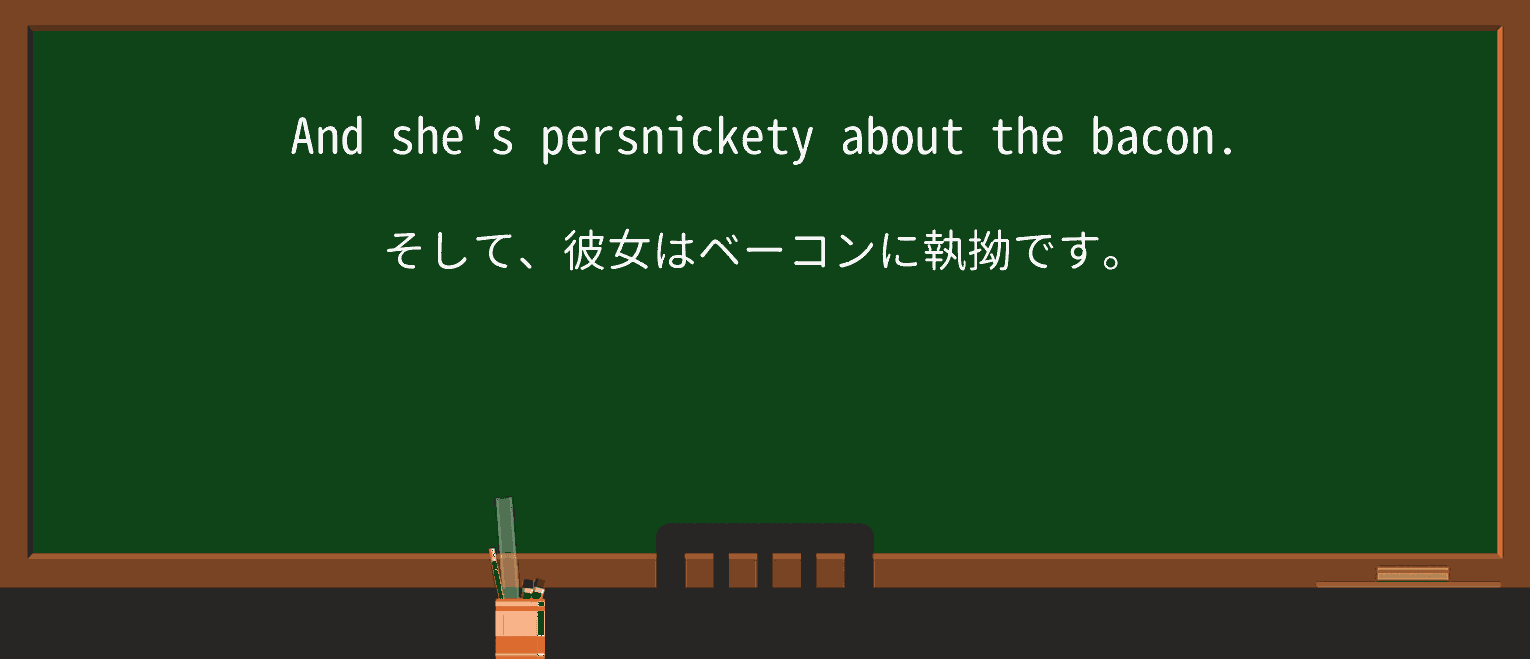 【英単語】persnicketyを徹底解説!意味、使い方、例文、読み方 ・例文2