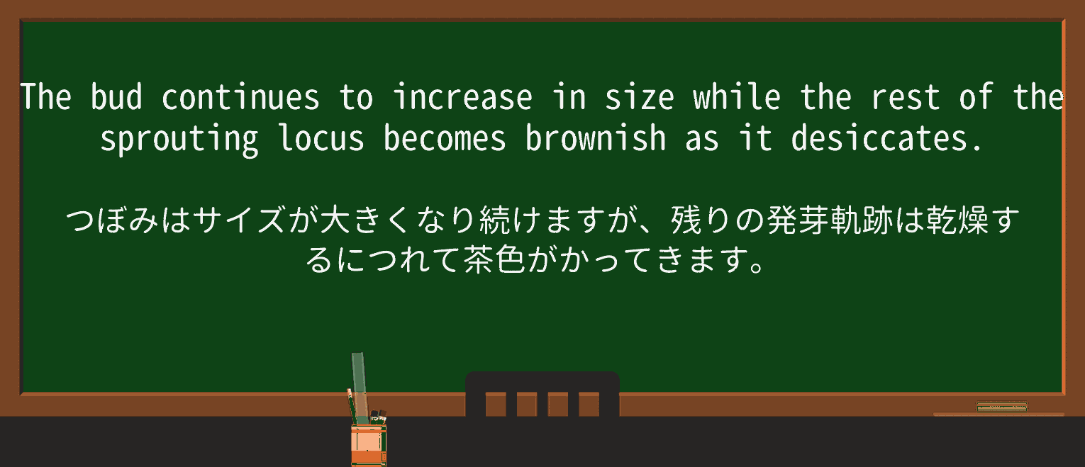 【英単語】brownishを徹底解説!意味、使い方、例文、読み方 ・例文2