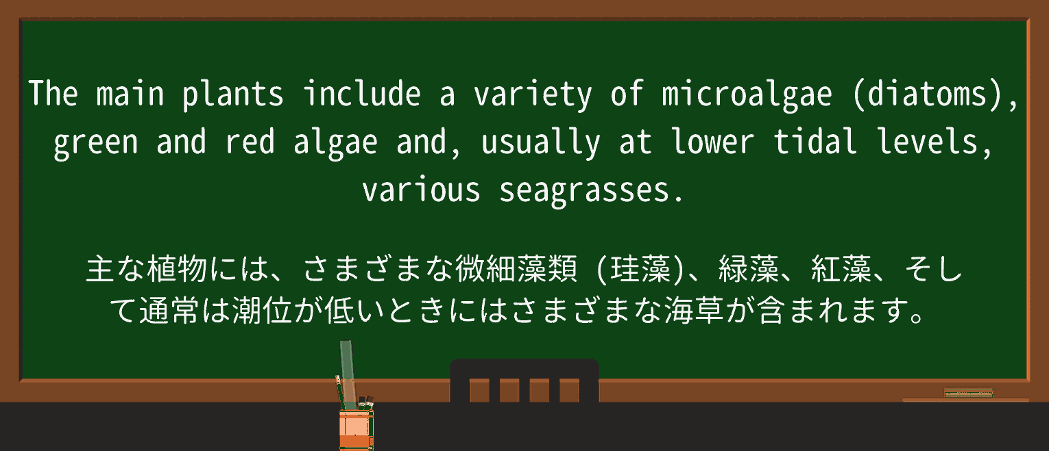 【英単語】algaeを徹底解説!意味、使い方、例文、読み方 ・例文2