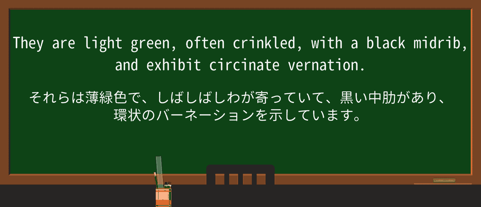【英単語】crinkleを徹底解説!意味、使い方、例文、読み方 ・例文3