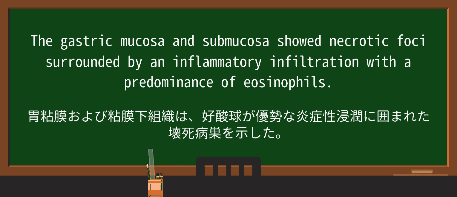 【英単語】mucosaを徹底解説!意味、使い方、例文、読み方 ・例文2
