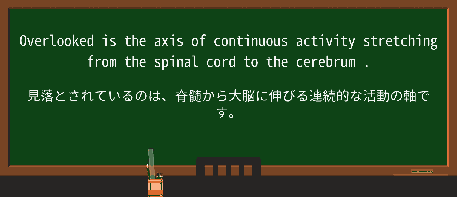 【英単語】cerebrumを徹底解説!意味、使い方、例文、読み方 ・例文2