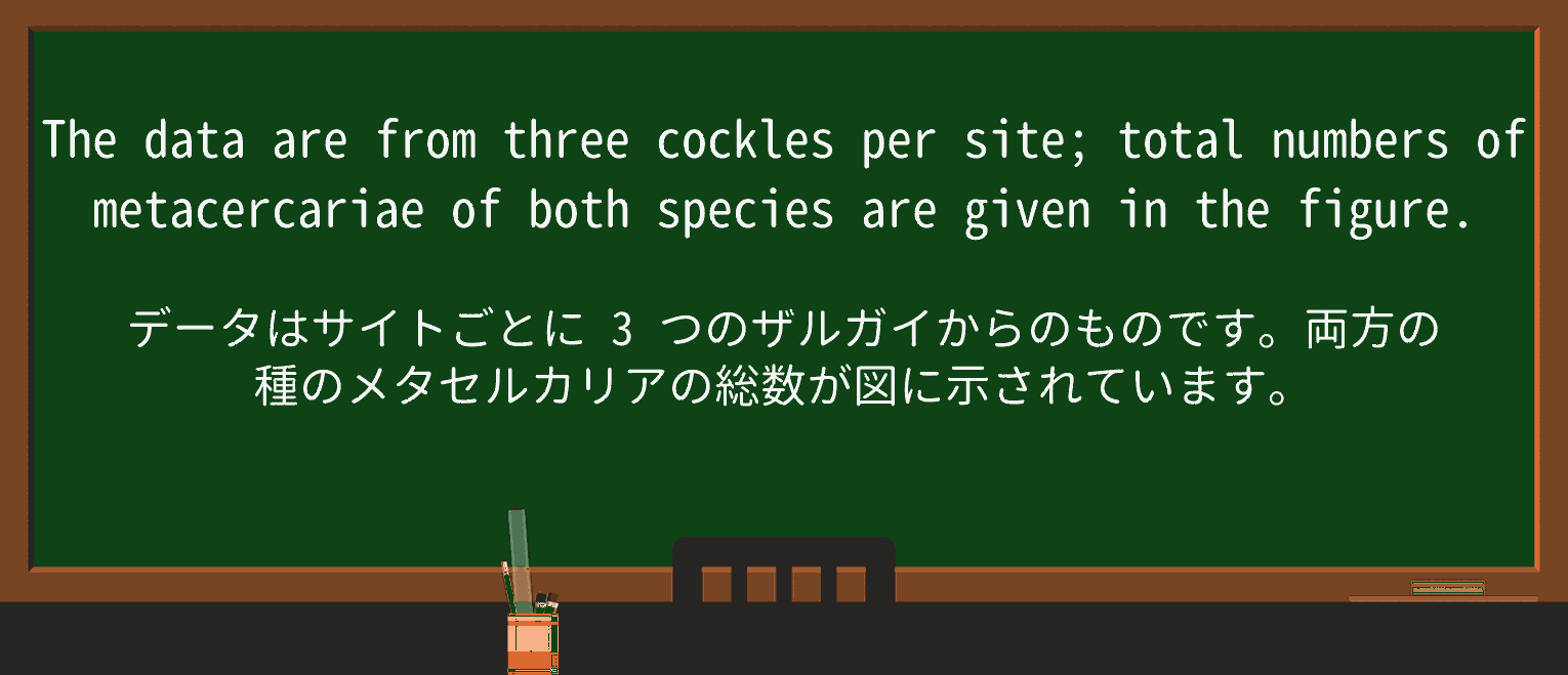 【英単語】cockleを徹底解説!意味、使い方、例文、読み方 ・例文2