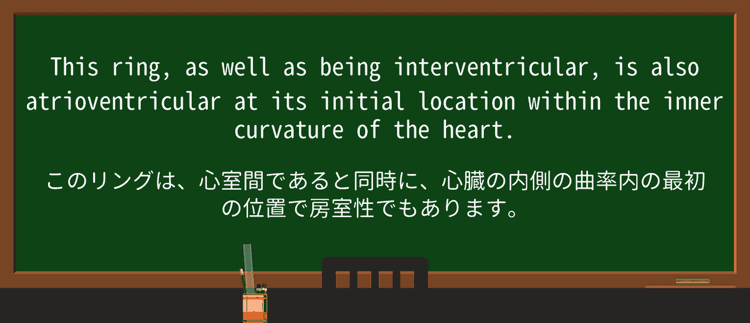 【英単語】curvatureを徹底解説!意味、使い方、例文、読み方 ・例文3