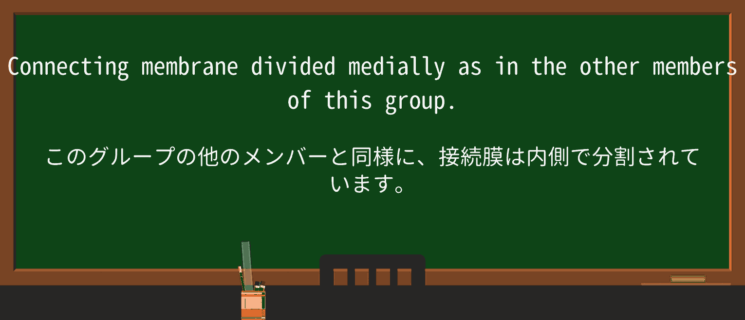 【英単語】mediallyを徹底解説!意味、使い方、例文、読み方 ・例文1
