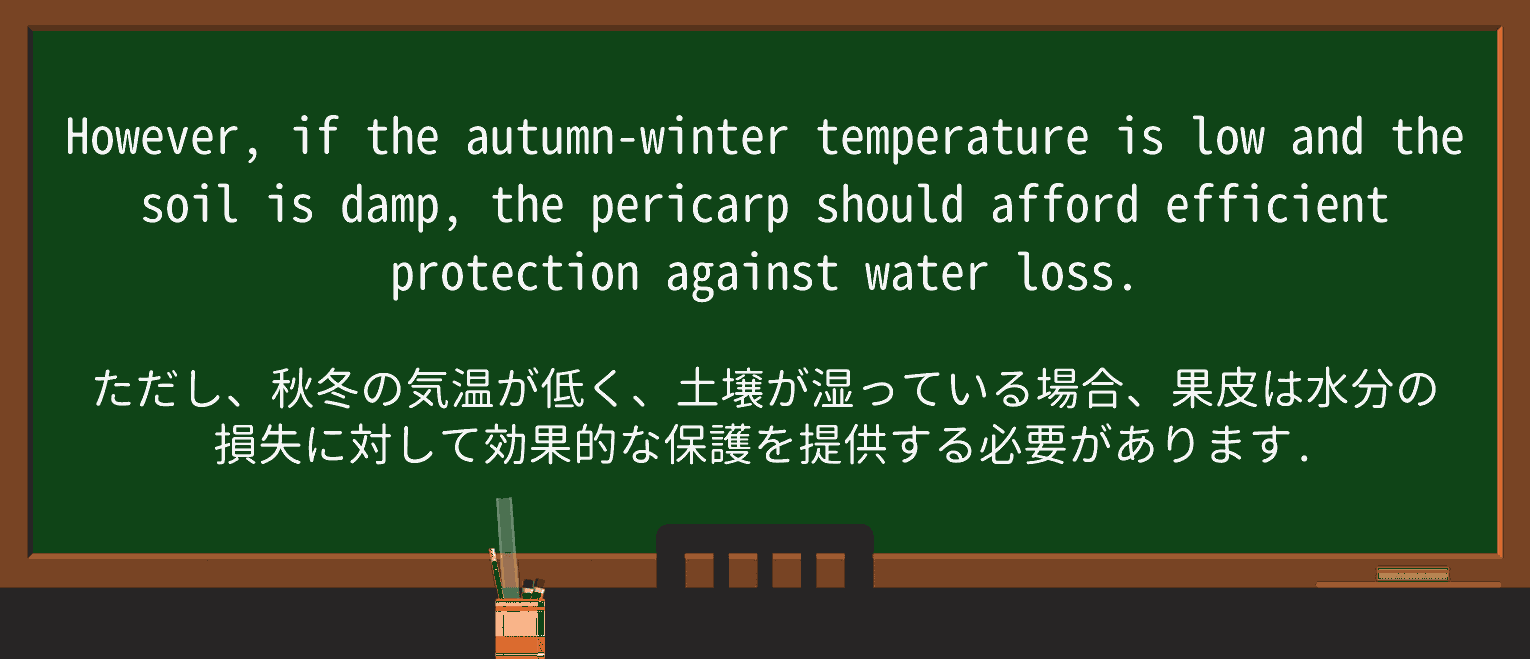 【英単語】pericarpを徹底解説!意味、使い方、例文、読み方 ・例文2