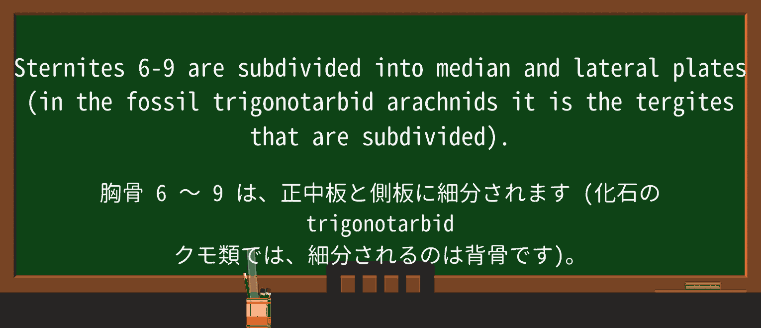 【英単語】arachnidを徹底解説!意味、使い方、例文、読み方 ・例文1