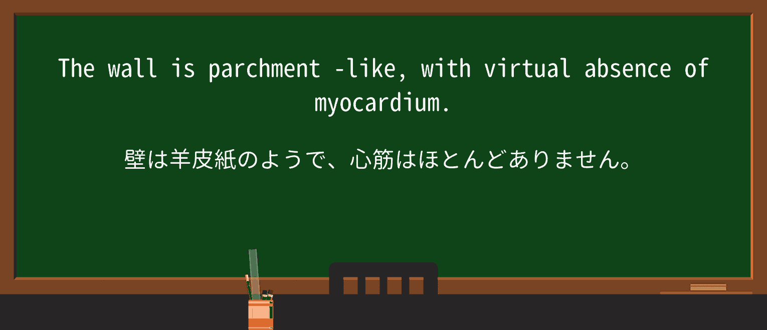 【英単語】parchmentを徹底解説!意味、使い方、例文、読み方 ・例文3