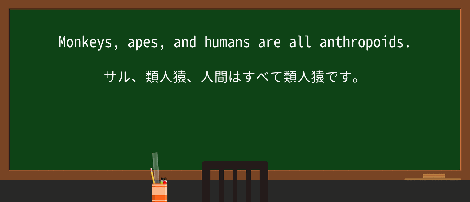 【英単語】anthropoidを徹底解説!意味、使い方、例文、読み方 ・例文1