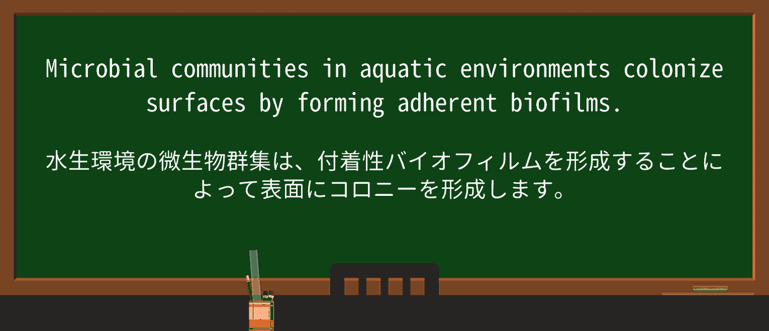 【英単語】aquaticを徹底解説!意味、使い方、例文、読み方 ・例文4