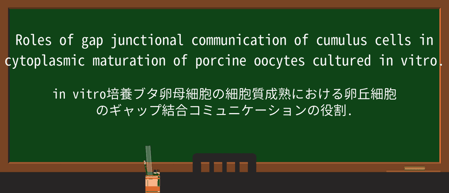 【英単語】porcineを徹底解説!意味、使い方、例文、読み方 ・例文4