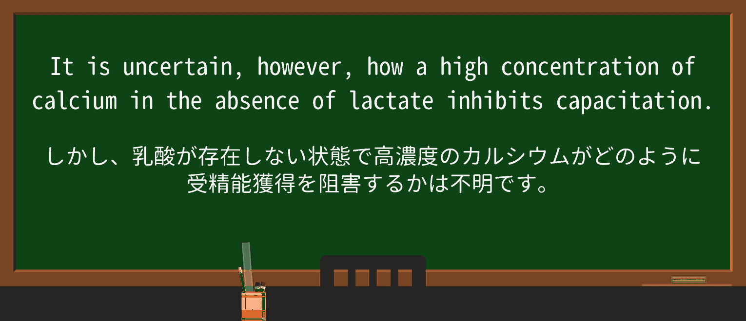【英単語】calciumを徹底解説!意味、使い方、例文、読み方 ・例文1