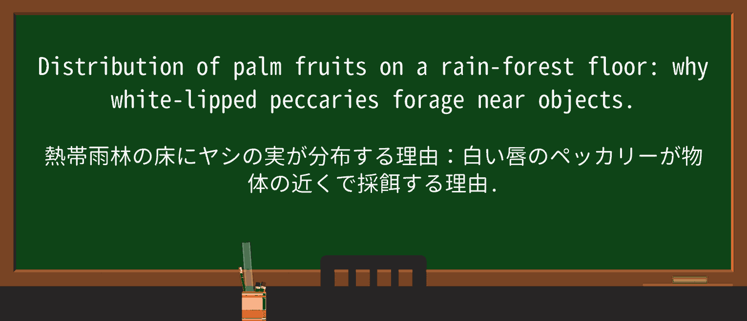 【英単語】peccaryを徹底解説!意味、使い方、例文、読み方 ・例文4