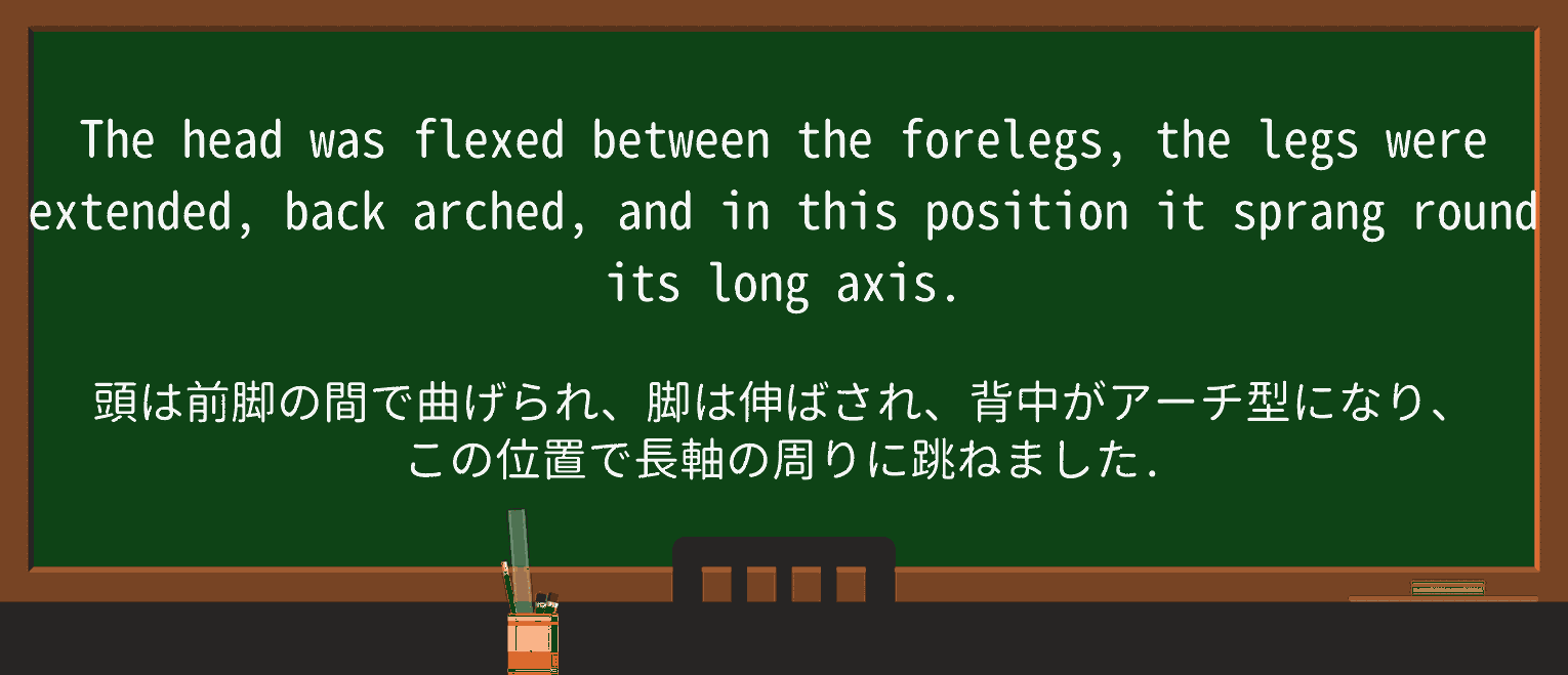 【英単語】forelegを徹底解説!意味、使い方、例文、読み方 ・例文3