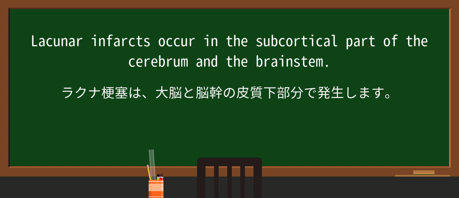 【英単語】cerebrumを徹底解説!意味、使い方、例文、読み方 ・例文3