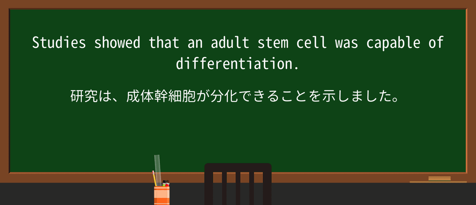 【英単語】differentiationを徹底解説！意味、使い方、例文、読み方 ・例文2