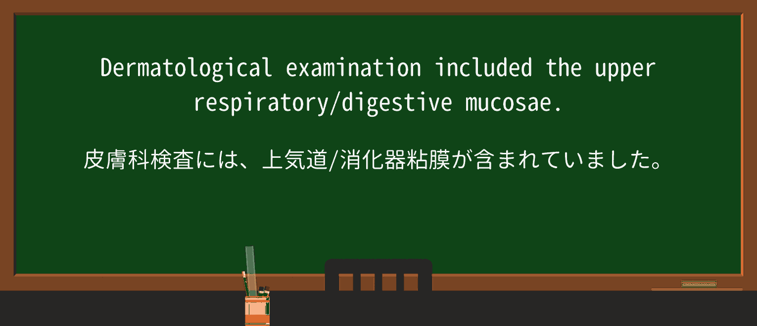 【英単語】mucosaを徹底解説!意味、使い方、例文、読み方 ・例文4