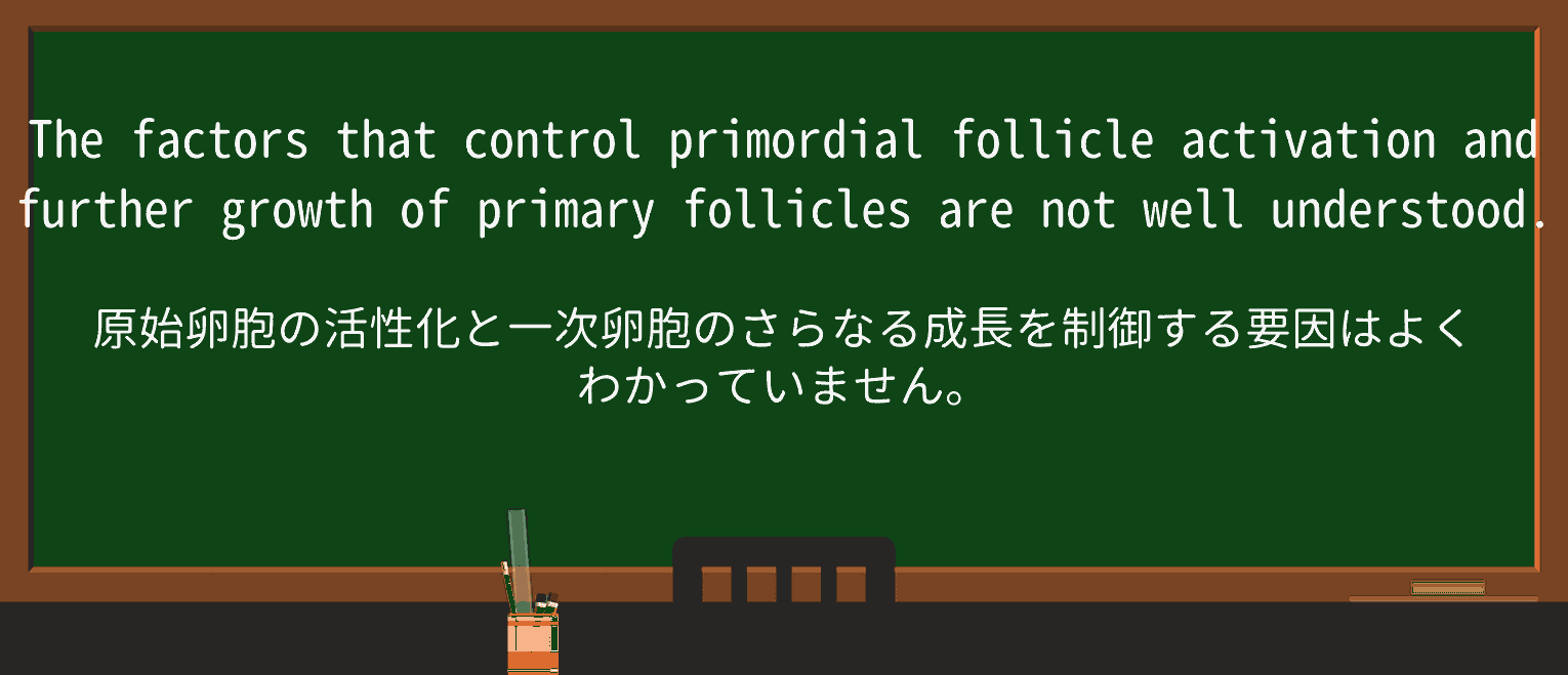 【英単語】primordialを徹底解説!意味、使い方、例文、読み方 ・例文3