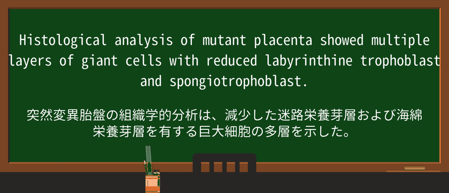 【英単語】labyrinthineを徹底解説!意味、使い方、例文、読み方 ・例文4