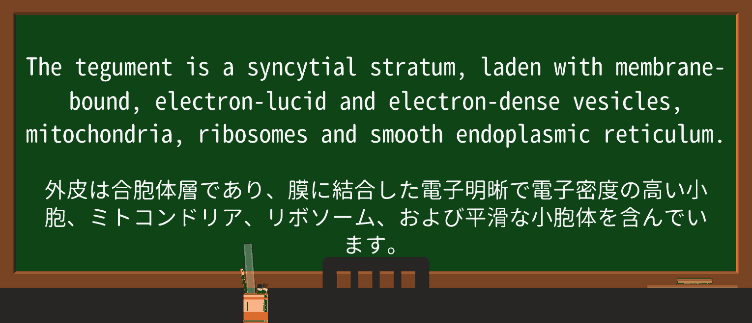 【英単語】ladenを徹底解説!意味、使い方、例文、読み方 ・例文3