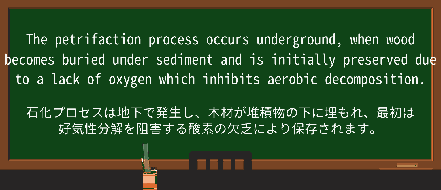【英単語】petrifactionを徹底解説!意味、使い方、例文、読み方 ・例文3