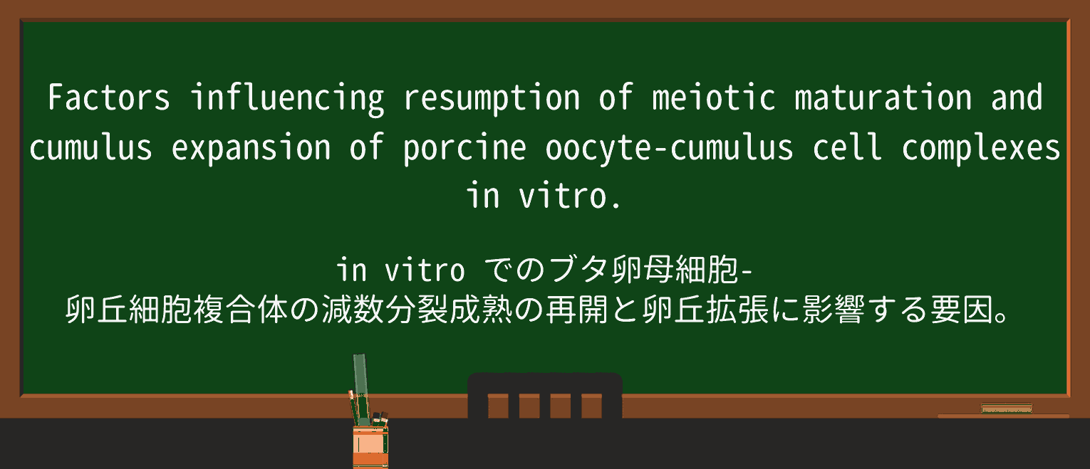 【英単語】porcineを徹底解説!意味、使い方、例文、読み方 ・例文3