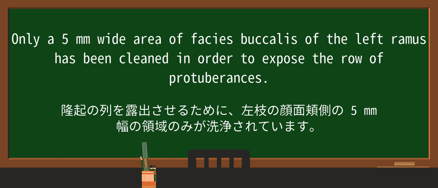 【英単語】protuberanceを徹底解説!意味、使い方、例文、読み方 ・例文3