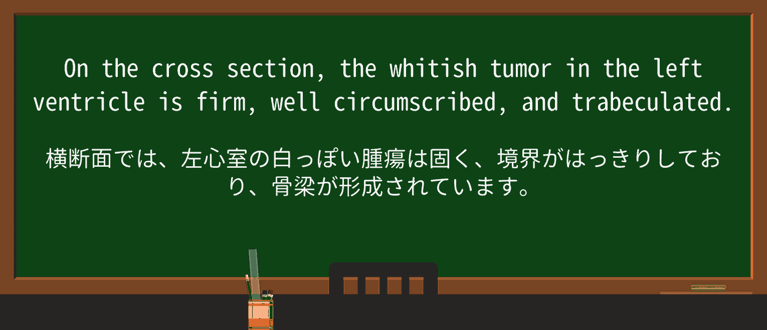 【英単語】circumscribeを徹底解説!意味、使い方、例文、読み方 ・例文4