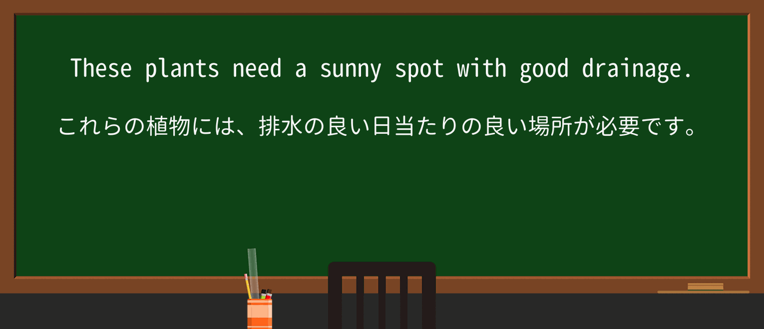 drainageを徹底解説!意味、使い方、例文、読み方 ・例文1