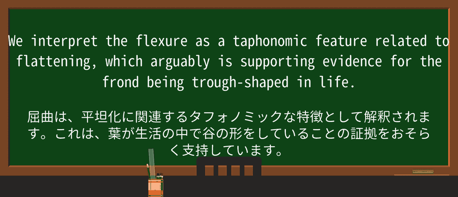 【英単語】flexureを徹底解説!意味、使い方、例文、読み方 ・例文2