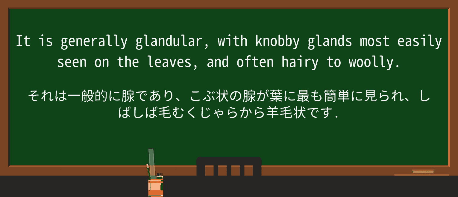 【英単語】knobbyを徹底解説!意味、使い方、例文、読み方 ・例文3