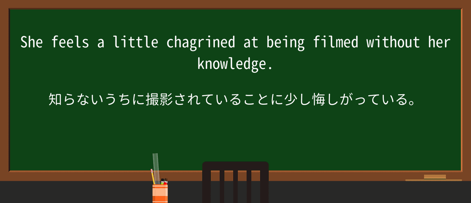 【英単語】chagrinedを徹底解説!意味、使い方、例文、読み方 ・例文1