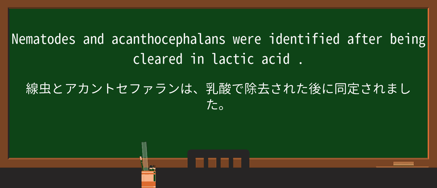 【英単語】lactic-acidを徹底解説!意味、使い方、例文、読み方 ・例文1