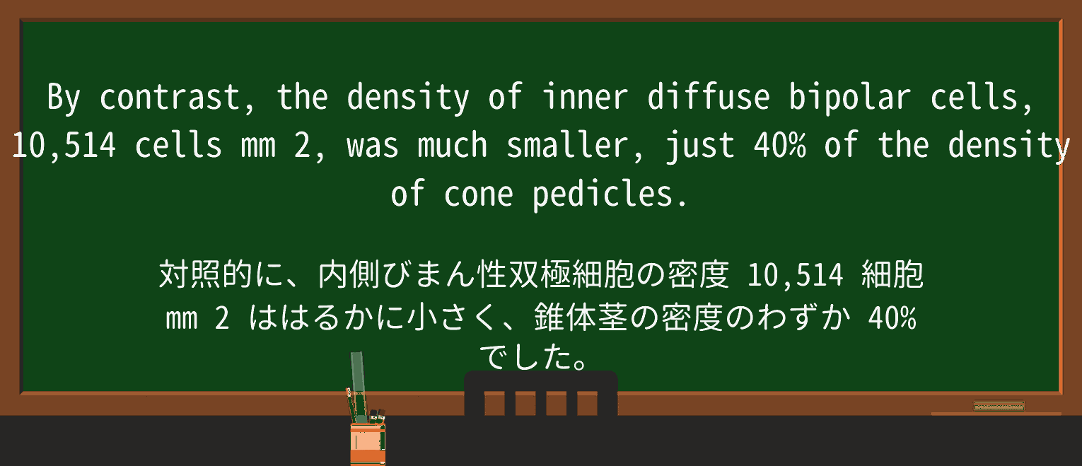 【英単語】pedicleを徹底解説!意味、使い方、例文、読み方 ・例文3