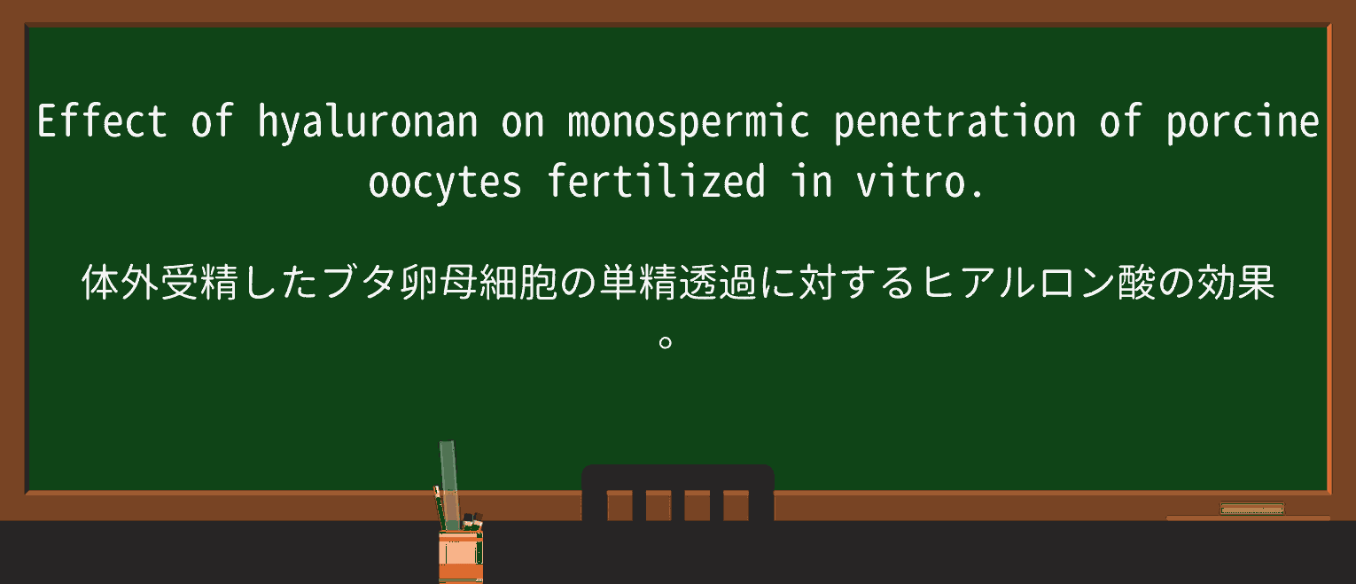 【英単語】porcineを徹底解説!意味、使い方、例文、読み方 ・例文2