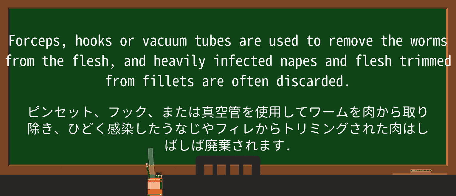 【英単語】napeを徹底解説!意味、使い方、例文、読み方 ・例文2