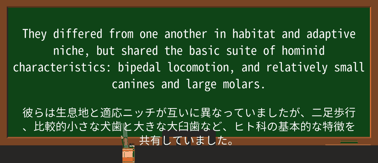 【英単語】molarを徹底解説!意味、使い方、例文、読み方 ・例文2