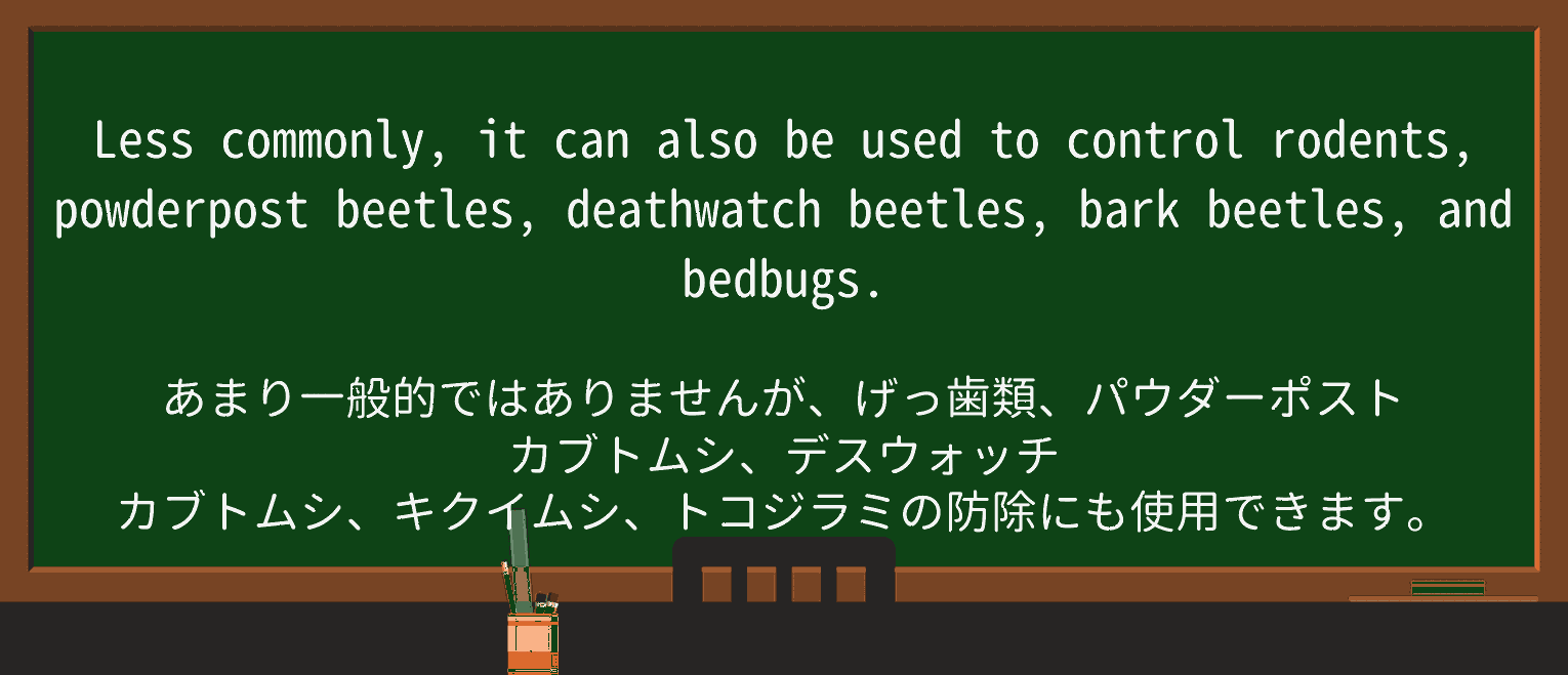 【英単語】bedbugを徹底解説!意味、使い方、例文、読み方 ・例文2