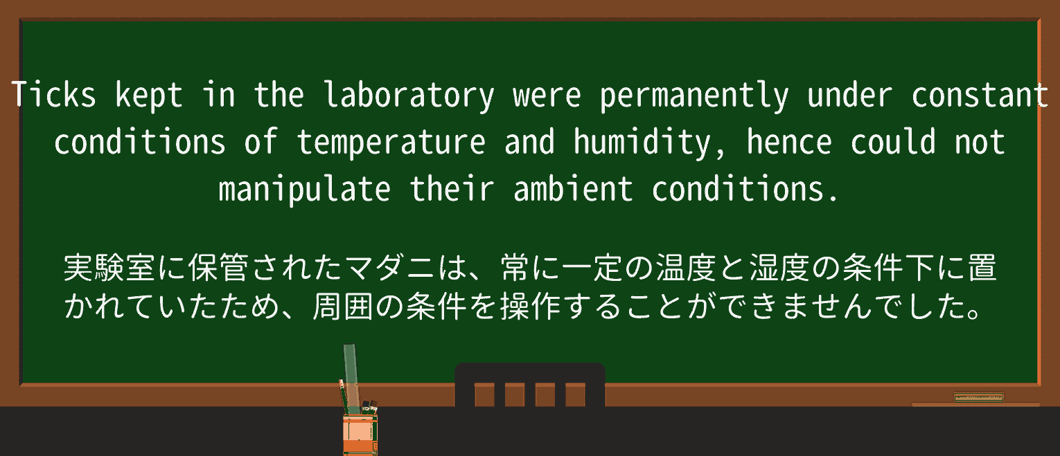 【英単語】ambientを徹底解説!意味、使い方、例文、読み方 ・例文4