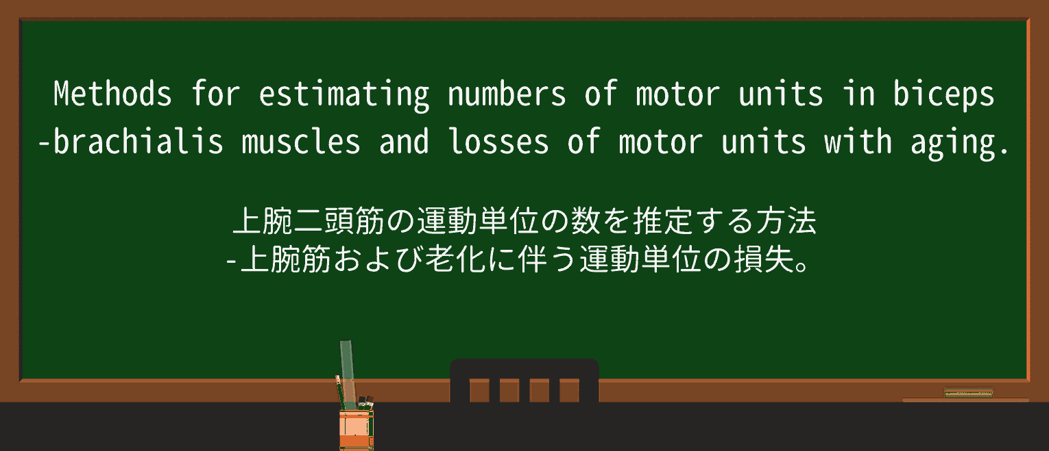 【英単語】bicepsを徹底解説!意味、使い方、例文、読み方 ・例文1
