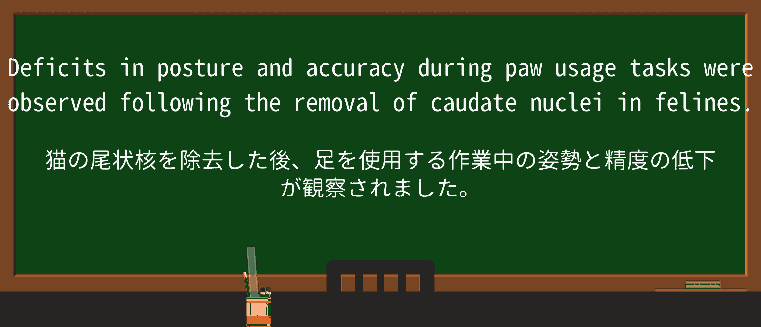 【英単語】felineを徹底解説!意味、使い方、例文、読み方 ・例文2