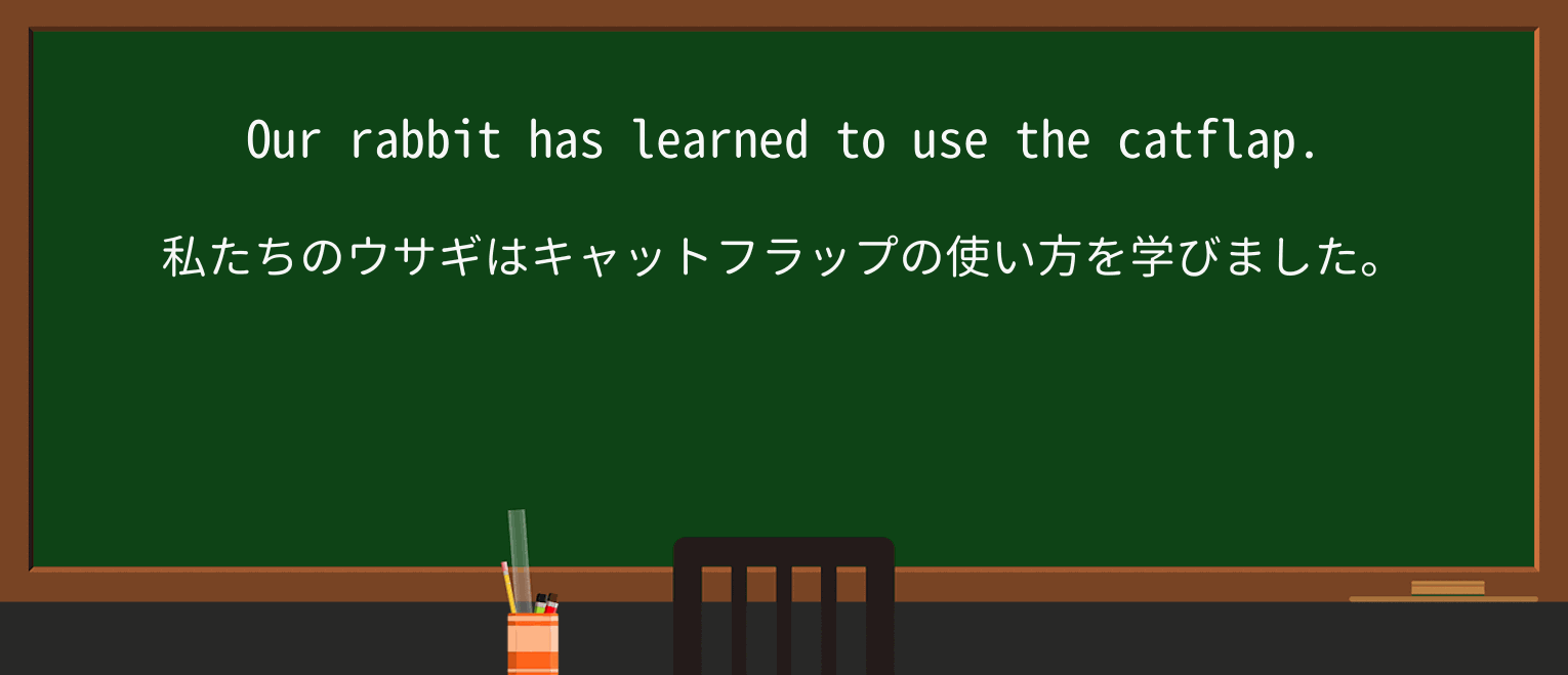 【英単語】cat-flapを徹底解説!意味、使い方、例文、読み方 ・例文1
