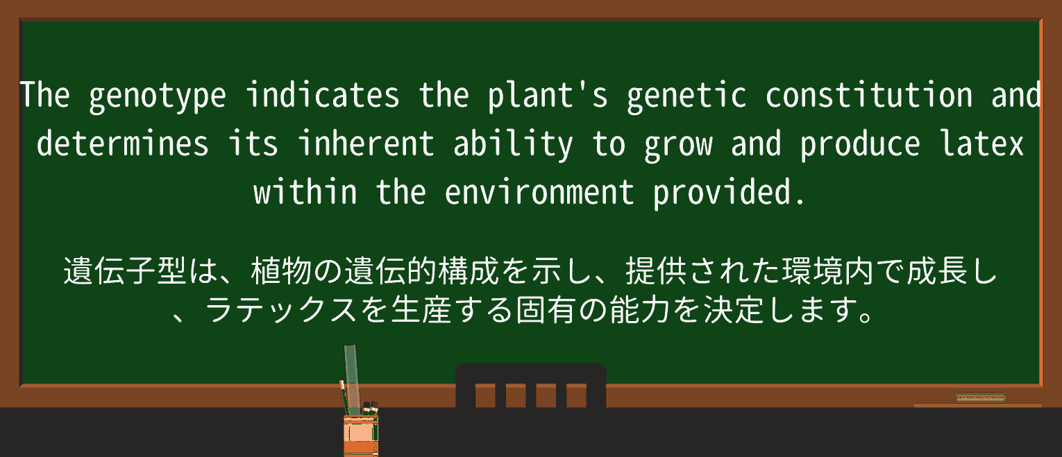 【英単語】latexを徹底解説!意味、使い方、例文、読み方 ・例文2
