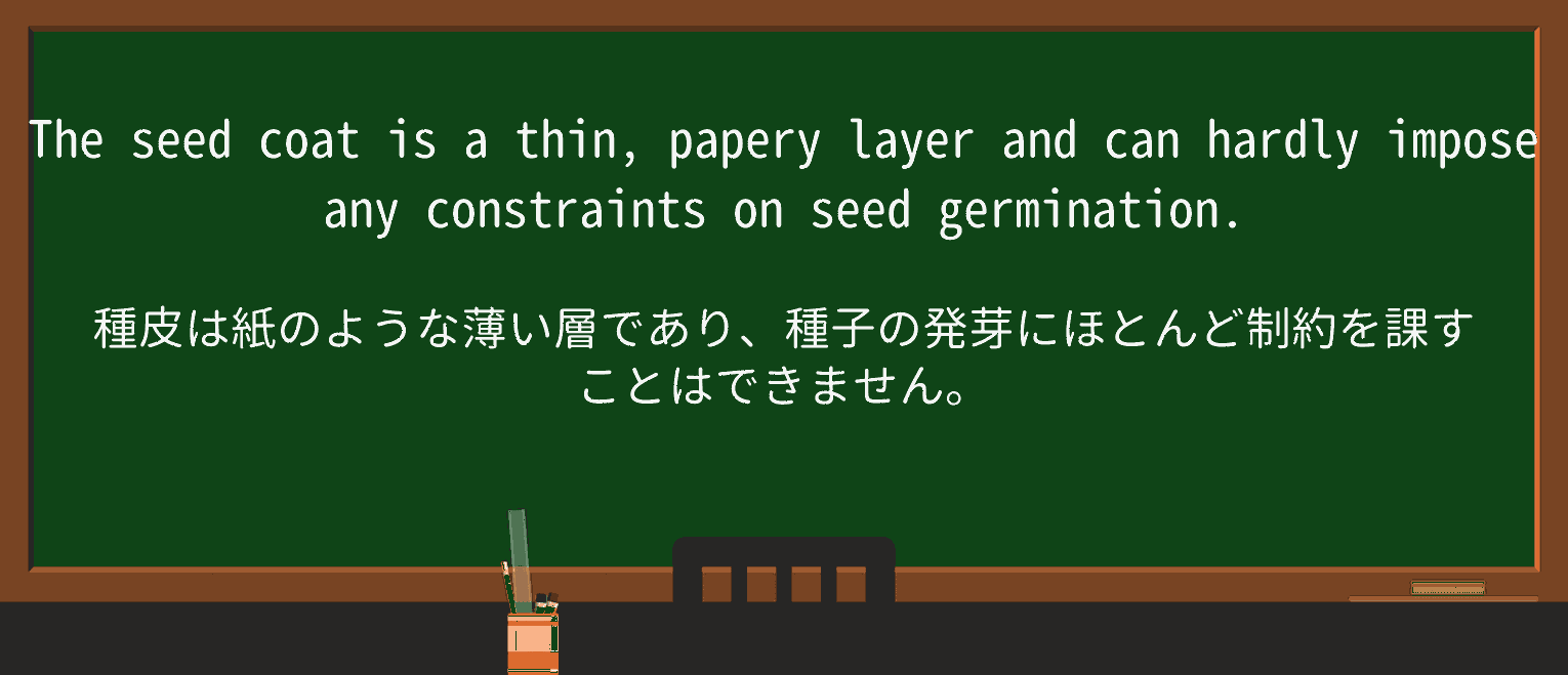 【英単語】paperyを徹底解説!意味、使い方、例文、読み方 ・例文2