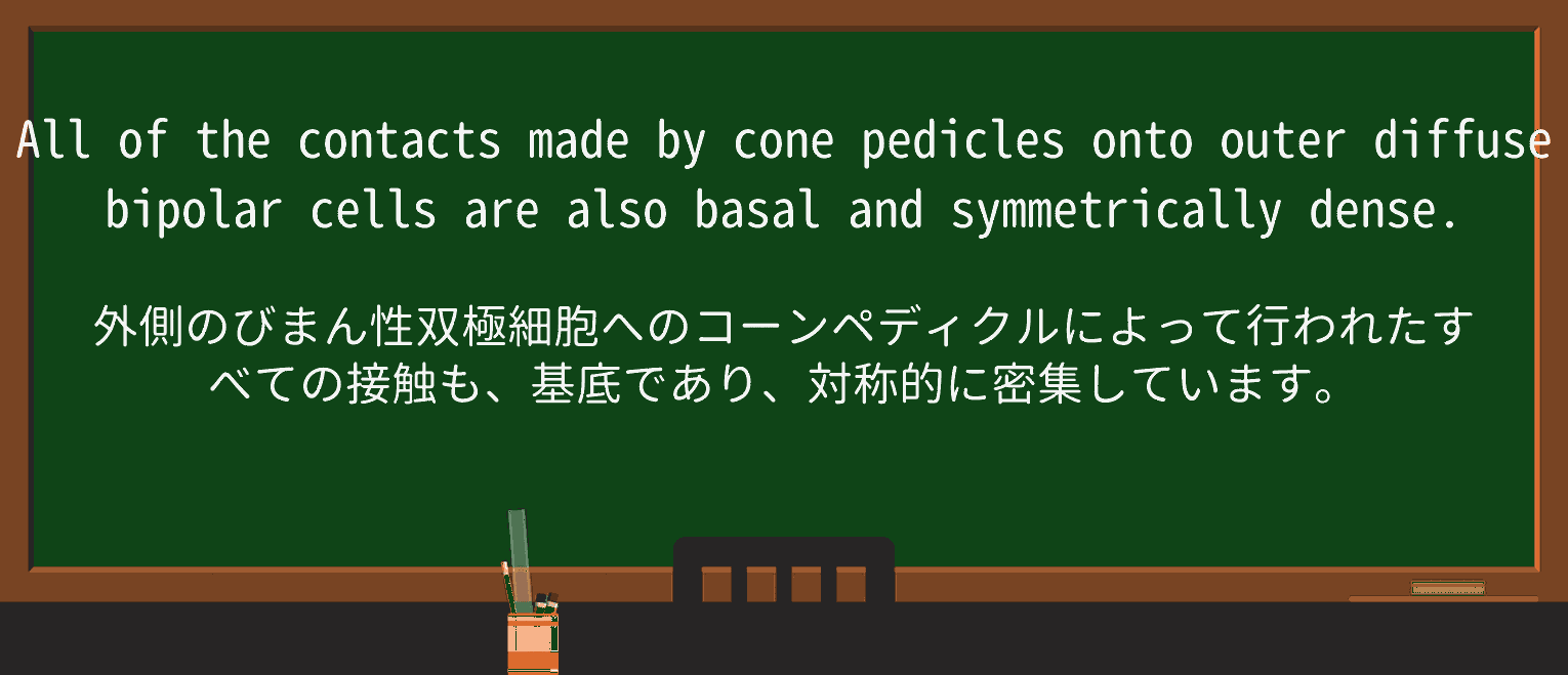 【英単語】pedicleを徹底解説!意味、使い方、例文、読み方 ・例文2