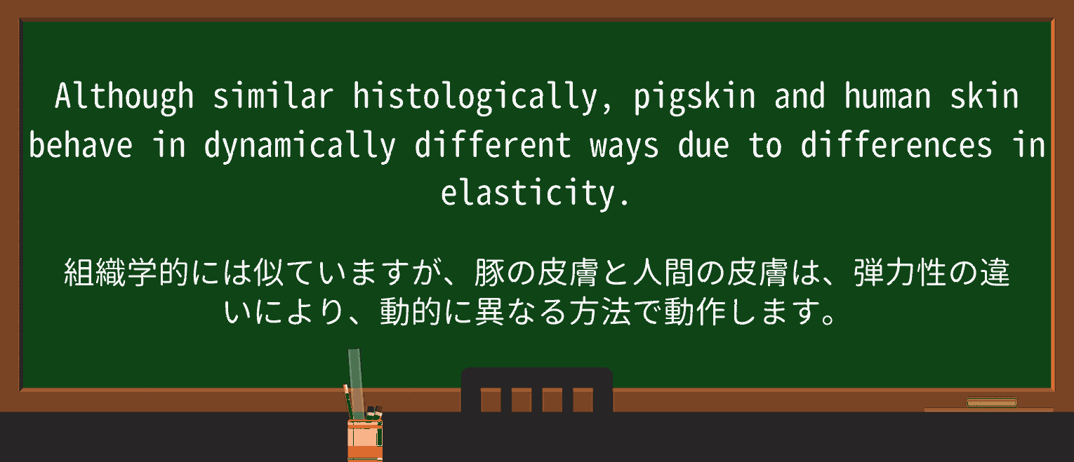 【英単語】pigskinを徹底解説!意味、使い方、例文、読み方 ・例文2