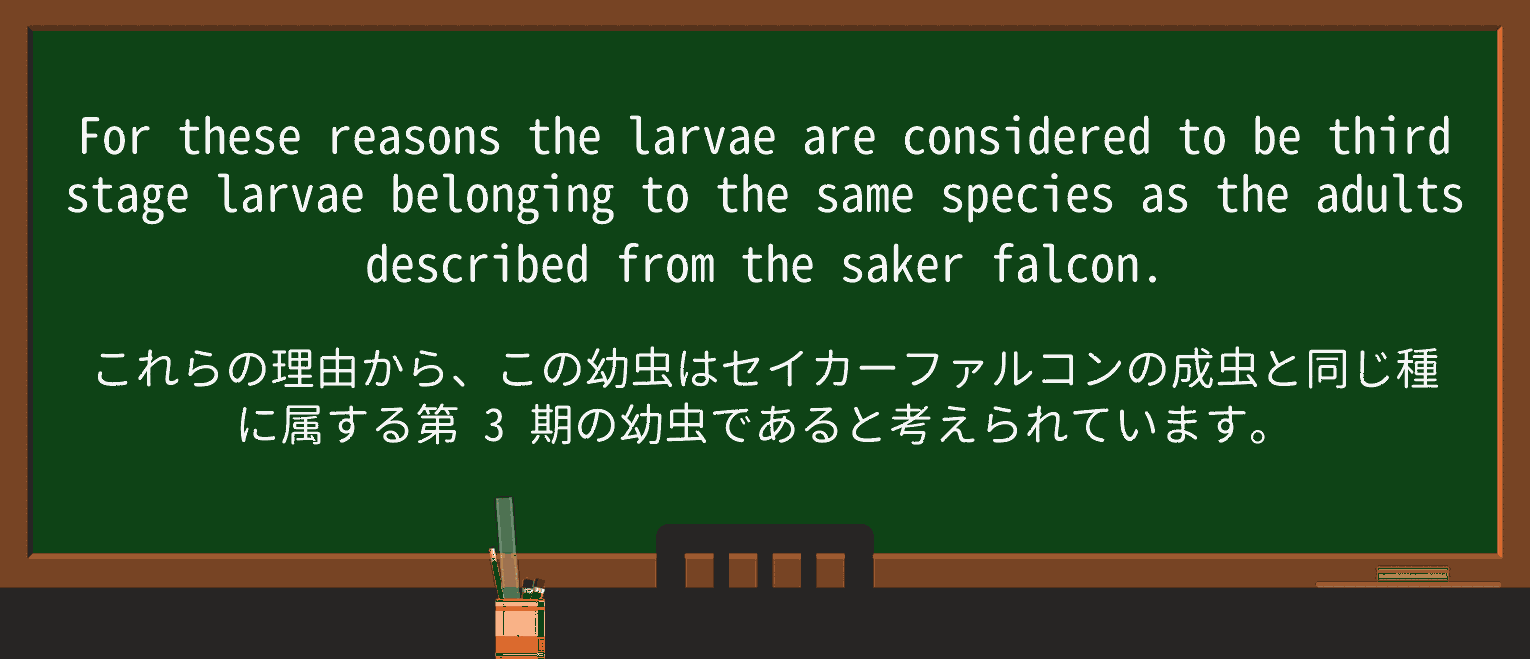 【英単語】belongingを徹底解説!意味、使い方、例文、読み方 ・例文4